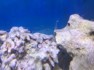 97C78FC2-D36B-40A2-9586-E491768E6AAD