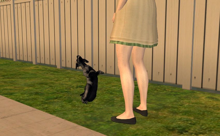 Sims2-EP9-2020-10-26-21-29-03-51