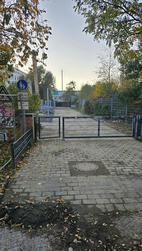 20241025-165521.jpg