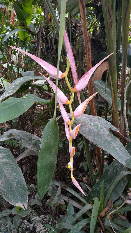 103272078_1192750331123799_8367544227446847122_n