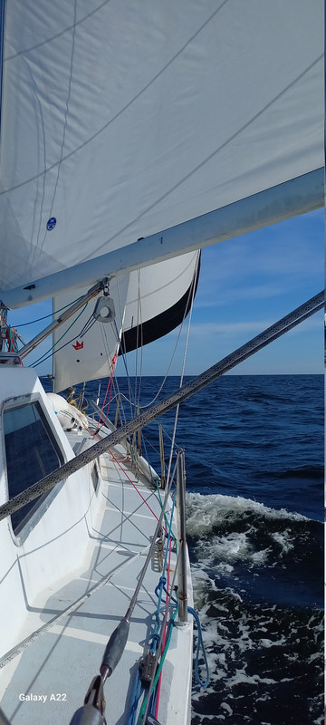 [Imagen: 20251124-165548.jpg]