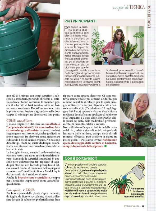 Pol Ver Gen-Feb 2022 (6)