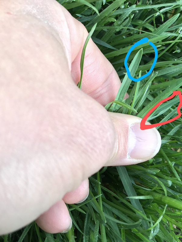 49-F7-C0-E5-C7-EE-481-B-B7-E1-A008-F9-B5-D626