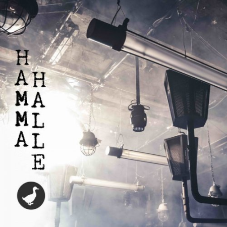 VA - HAMMAHALLE (2019) FLAC