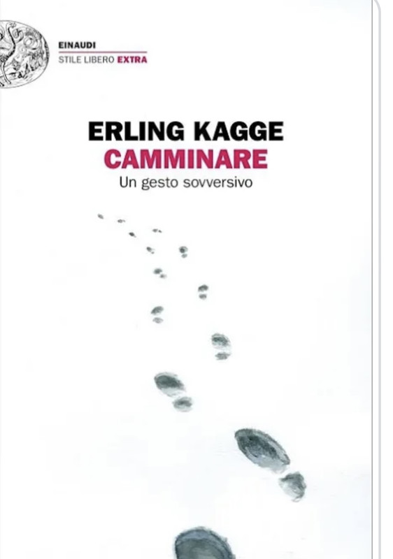 8EE27242-009C-4E0C-9C07-07F822E109E7