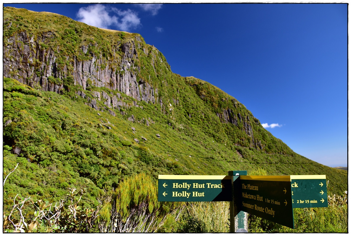 Egmont / Taranaki NP: Pouakai Circuit (marzo 2021) - Escapadas y rutas por la Nueva Zelanda menos conocida (9)