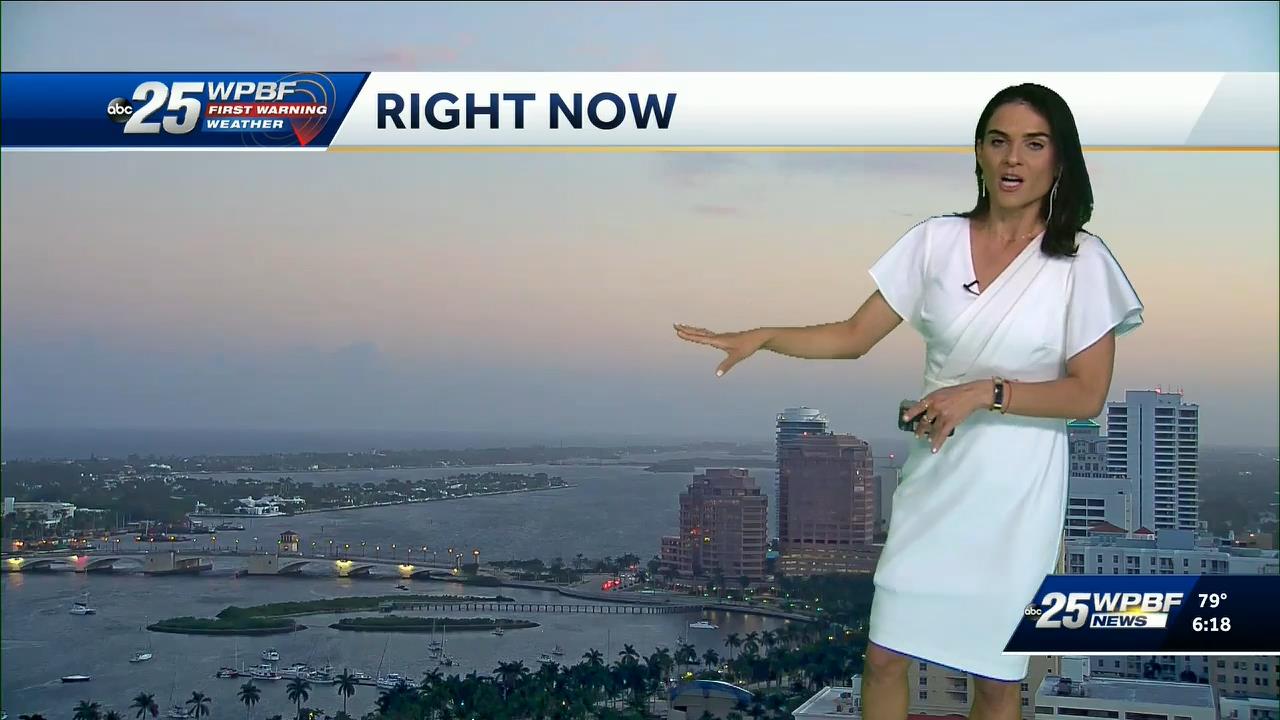 02.13 - 22.00.00 - WPBF 25 News at 5 00 p.m._001.ts_snapshot_05.23_[2021.02.14_00.26.48]