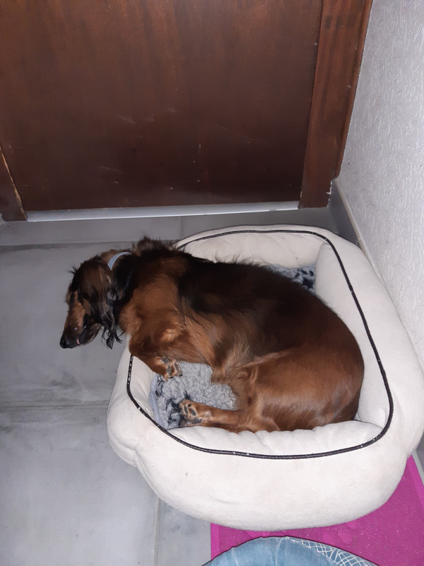 [Image: 20200711-162753.jpg]