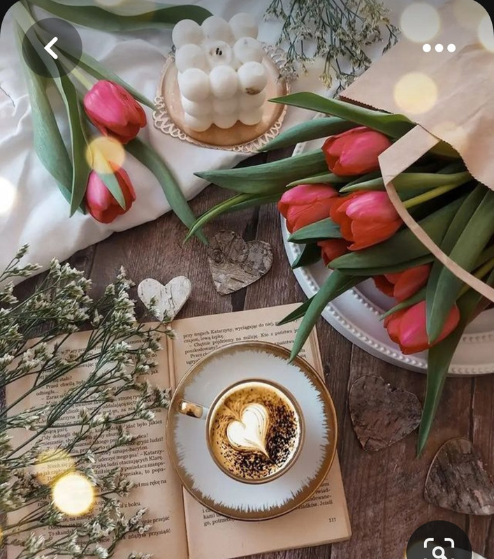 Screenshot_20230616_130257_Pinterest