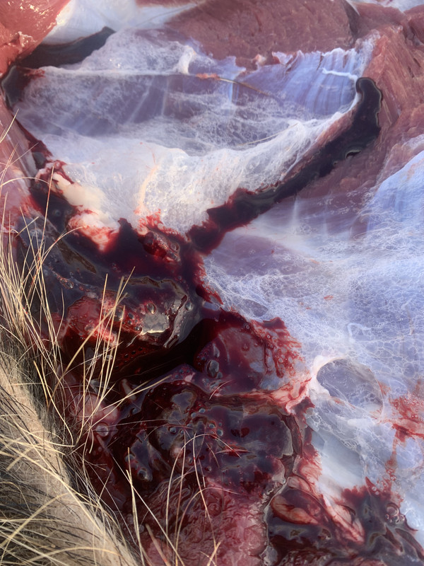 2C0EF477-DEF4-41EB-90E6-1F7087F6C4E8