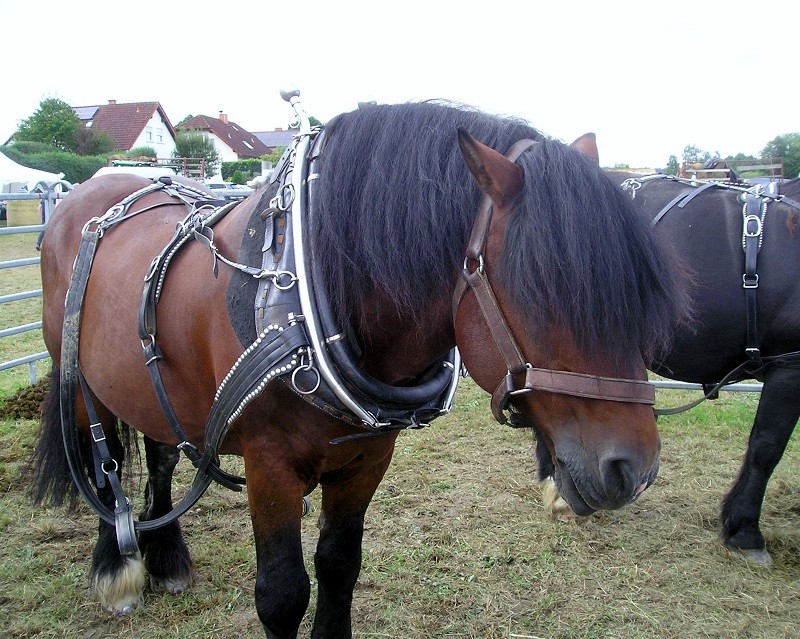 [Bild: LM05.jpg]