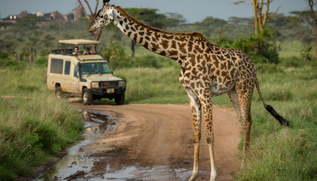 Big Five safari in Maasai Mara