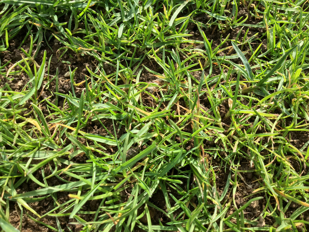 134C8851-BCFB-4EAC-8FD0-88319E683D07