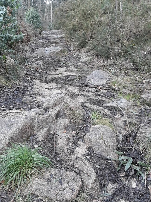 02EB6050-CCD8-4E88-A7F6-3C73C65820BA