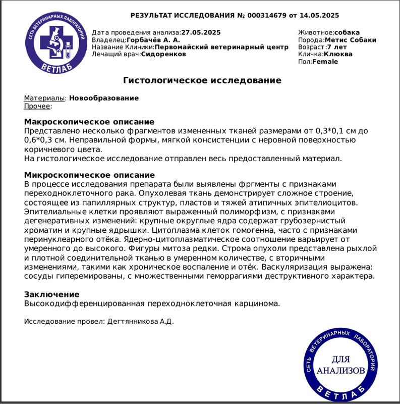 гистология