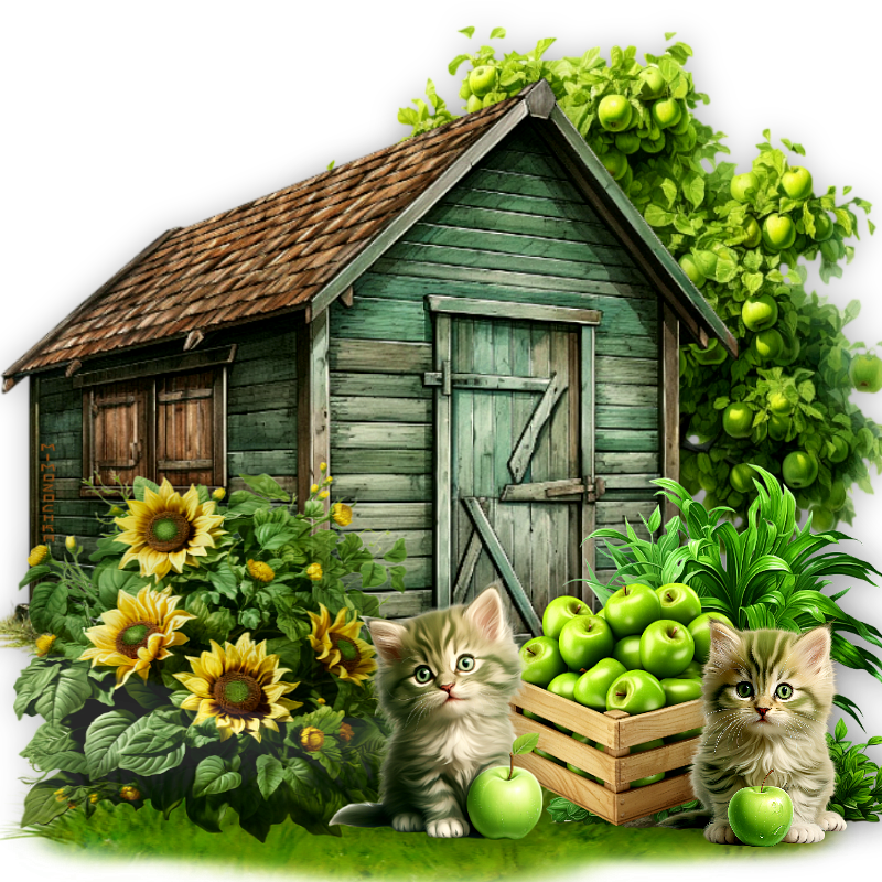 два котенка с яблоками