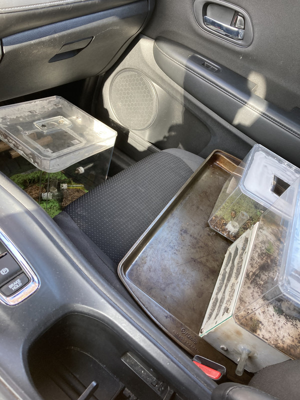 D5C688B9-007C-4F61-A314-6F8388BF1F51