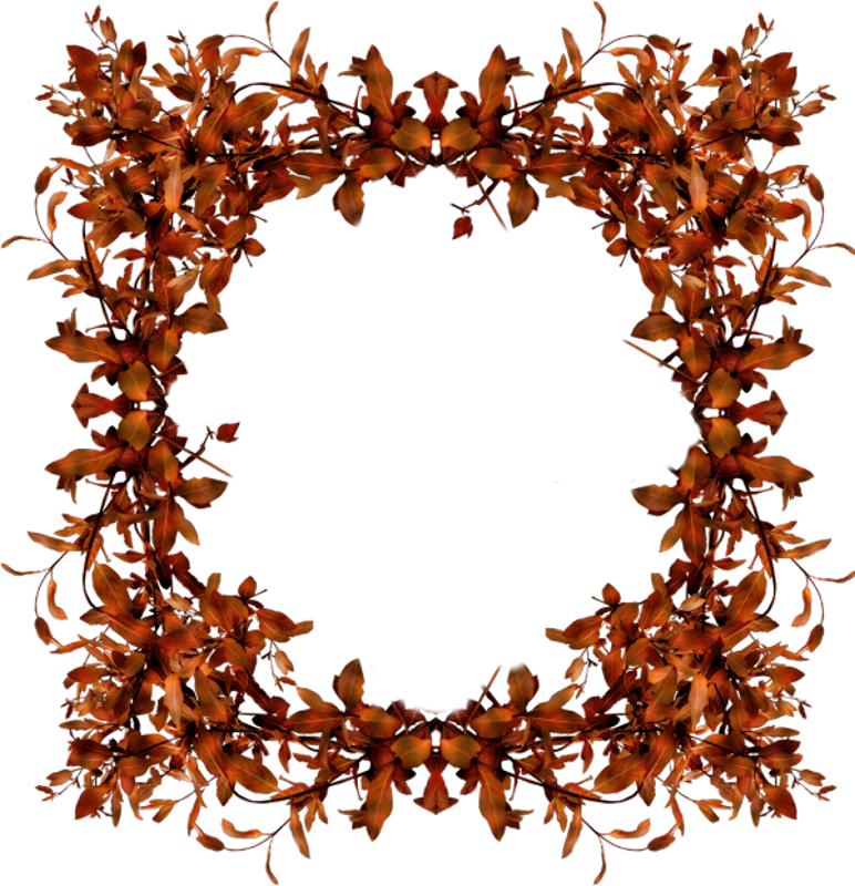 IPD_AH_Element (133)