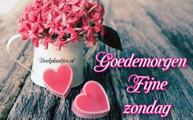 deelplaatjes-nl-goedemorgen-fijne-zondag-een-warme-groet-442736.jpg