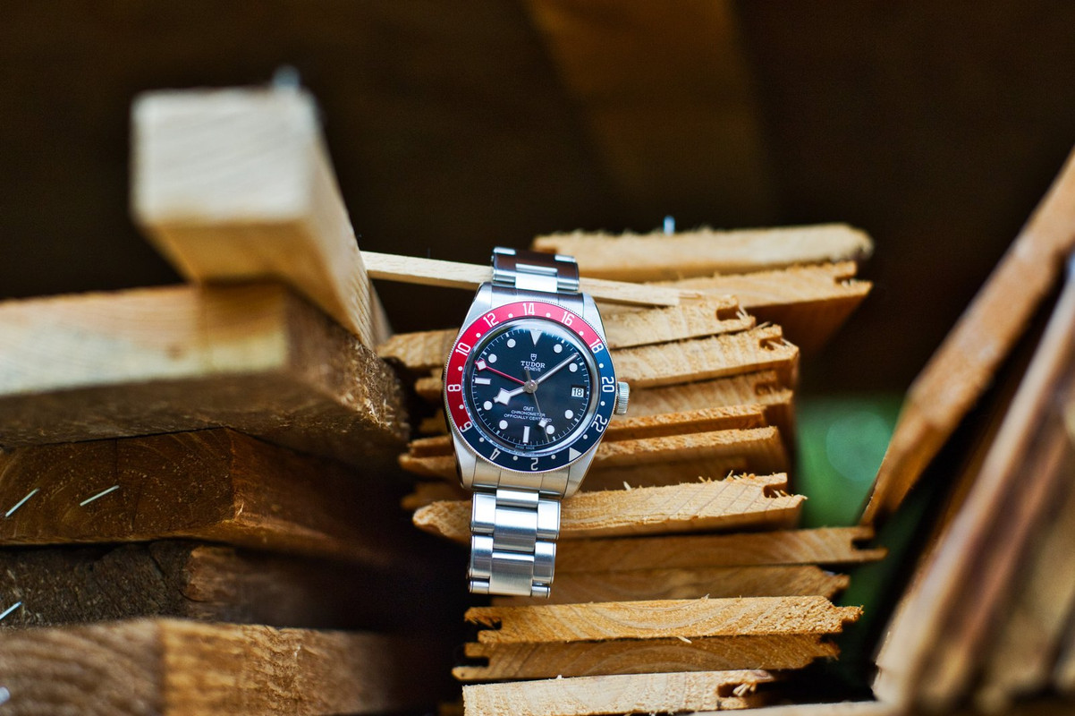 Feu de vos Dual Time - GMT - Worldtimer - tome II - Page 20 D3-S2662-8