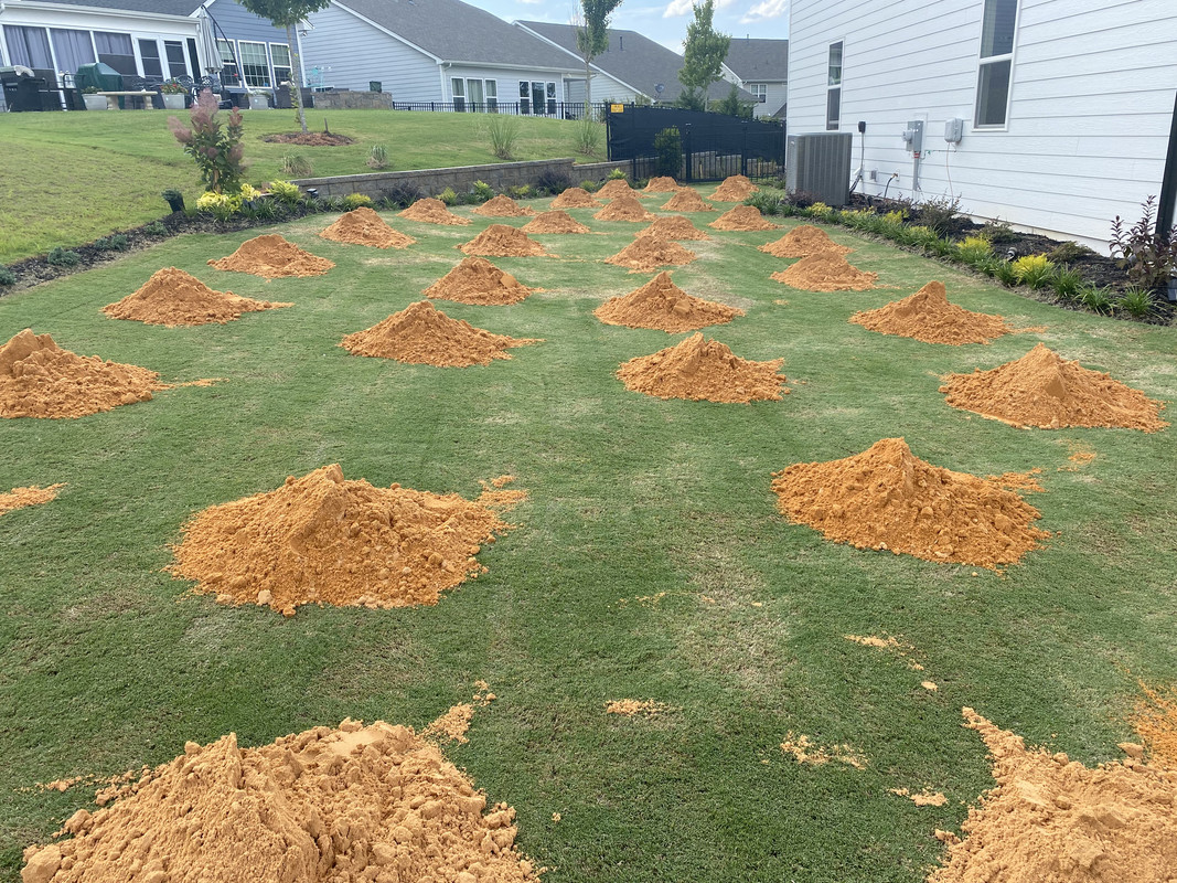 C2DBA966-4469-4D69-A55E-B1460D6304CB