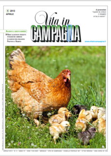Vita in campagna - Aprile 2013