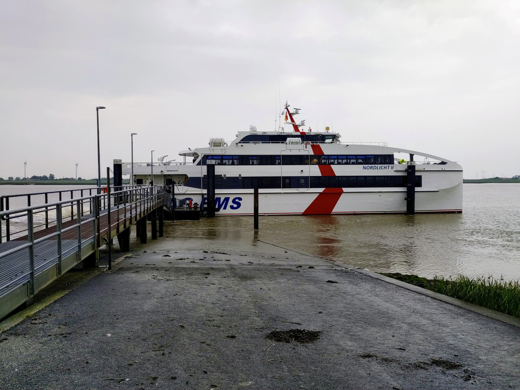 53D69B65-9683-43A8-9761-275B14CCEBDB_1_201_a