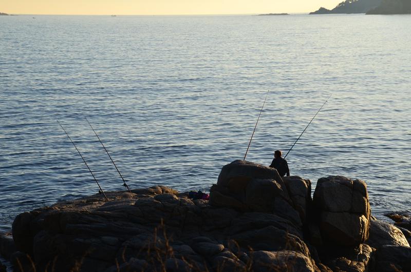 CALELLA DE PALAFRUGELL-21-11-2017 - Gerona y sus pueblos-2016/2017 (36)