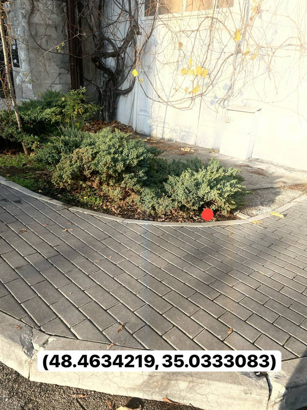 IMG 20251122 130203 761