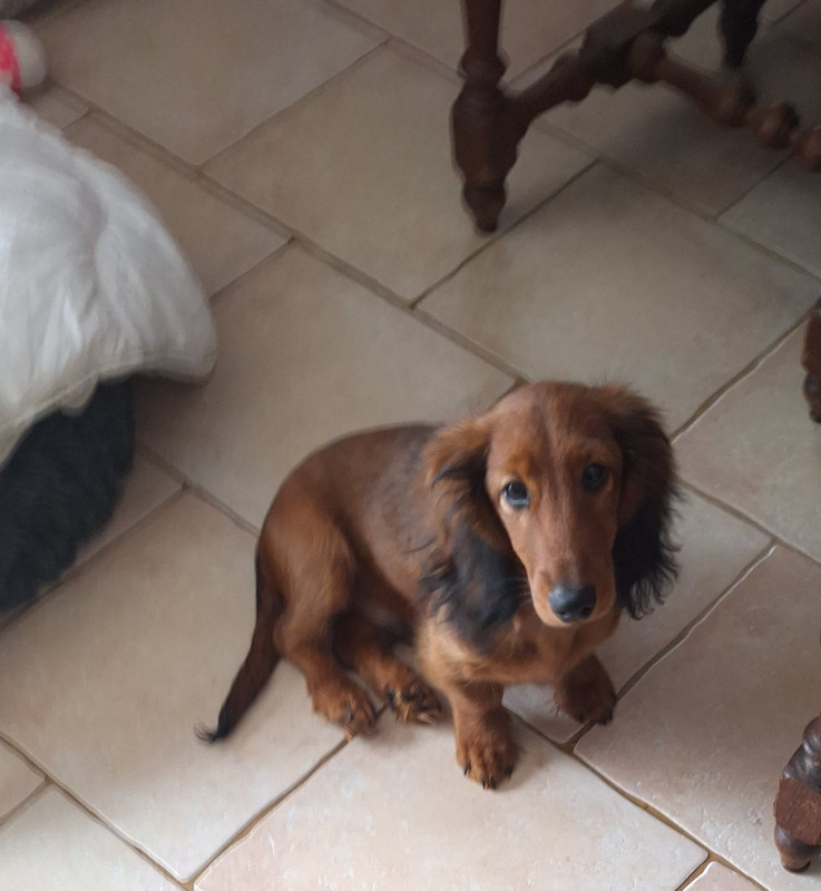 [Image: 20241025-143527.jpg]