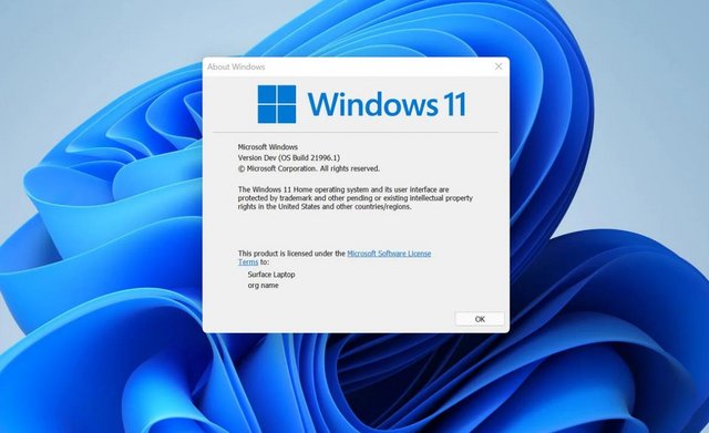 Windows 11 Windows 11