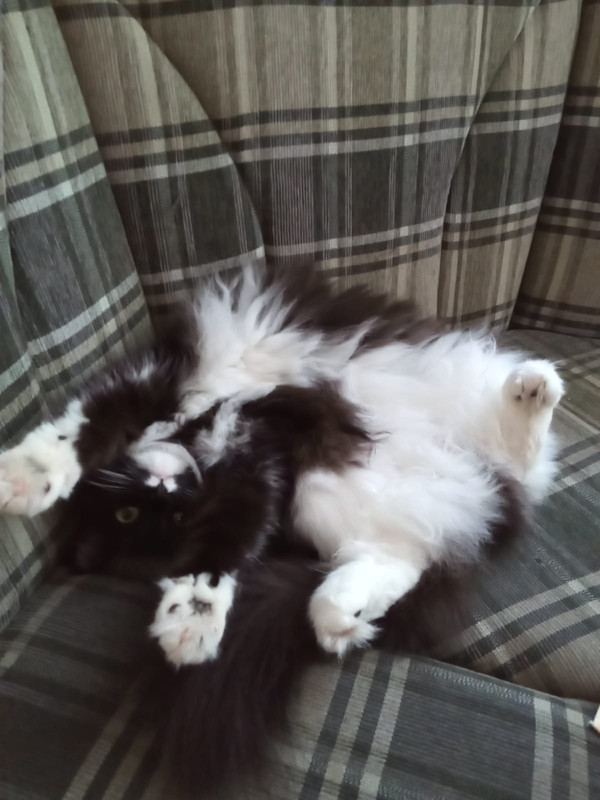 F33DADAA-98DB-4F77-A37B-0515572CCBE7