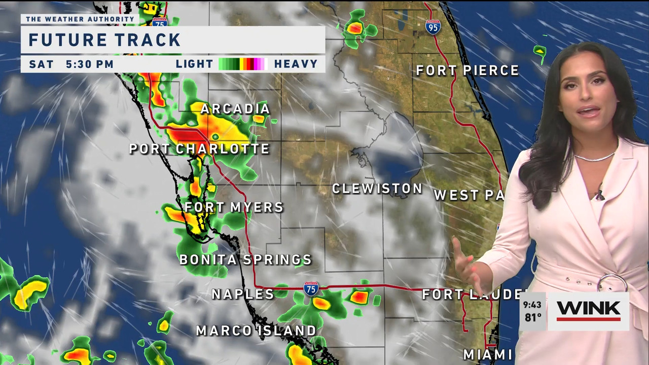 WINK News at 9 00 a.m. 2022_07_23_14_00_00.ts_snapshot_00.46.23.527