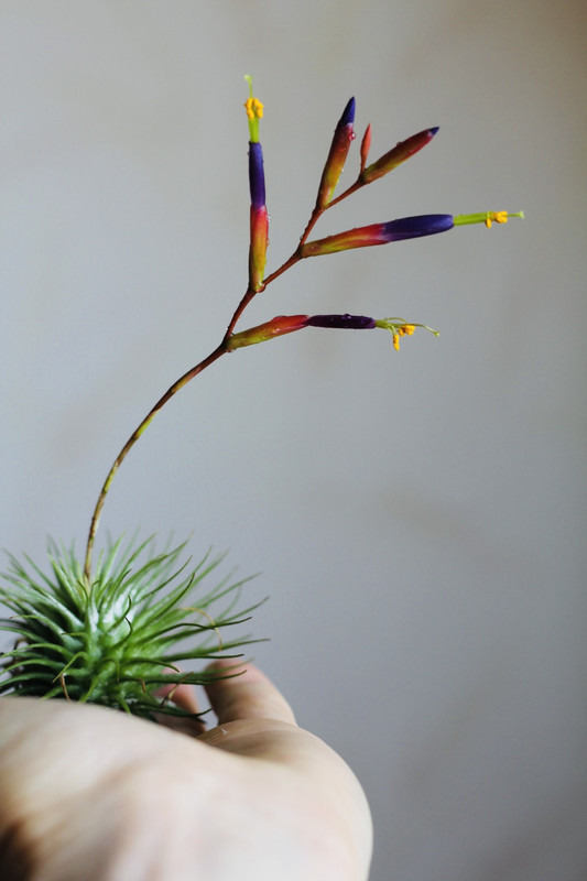 42116EFE-C8F0-40D5-8CFD-7E449813A798