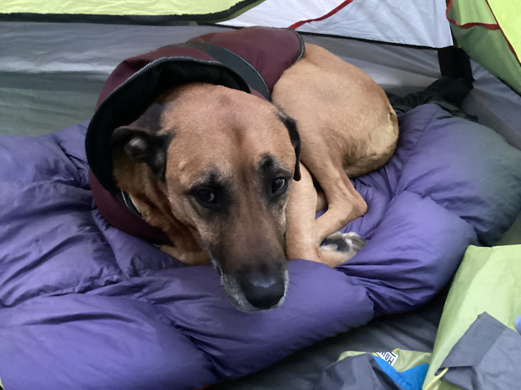 695FB04C-6BEF-44C6-846C-C92BBDAE2220