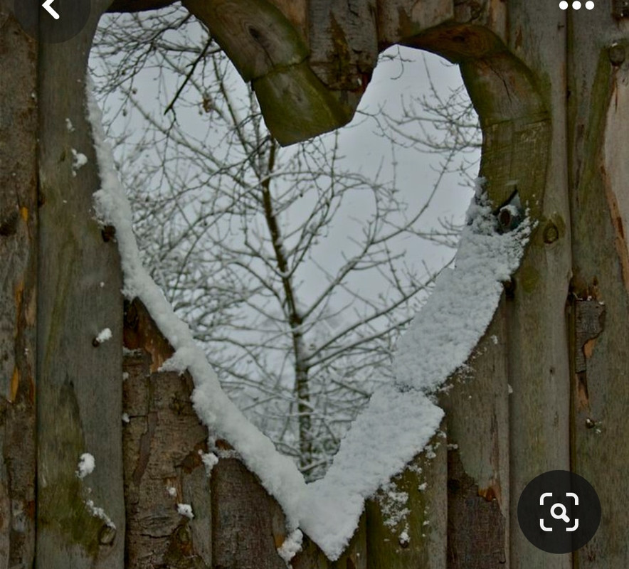 Screenshot_20240212_210620_Pinterest