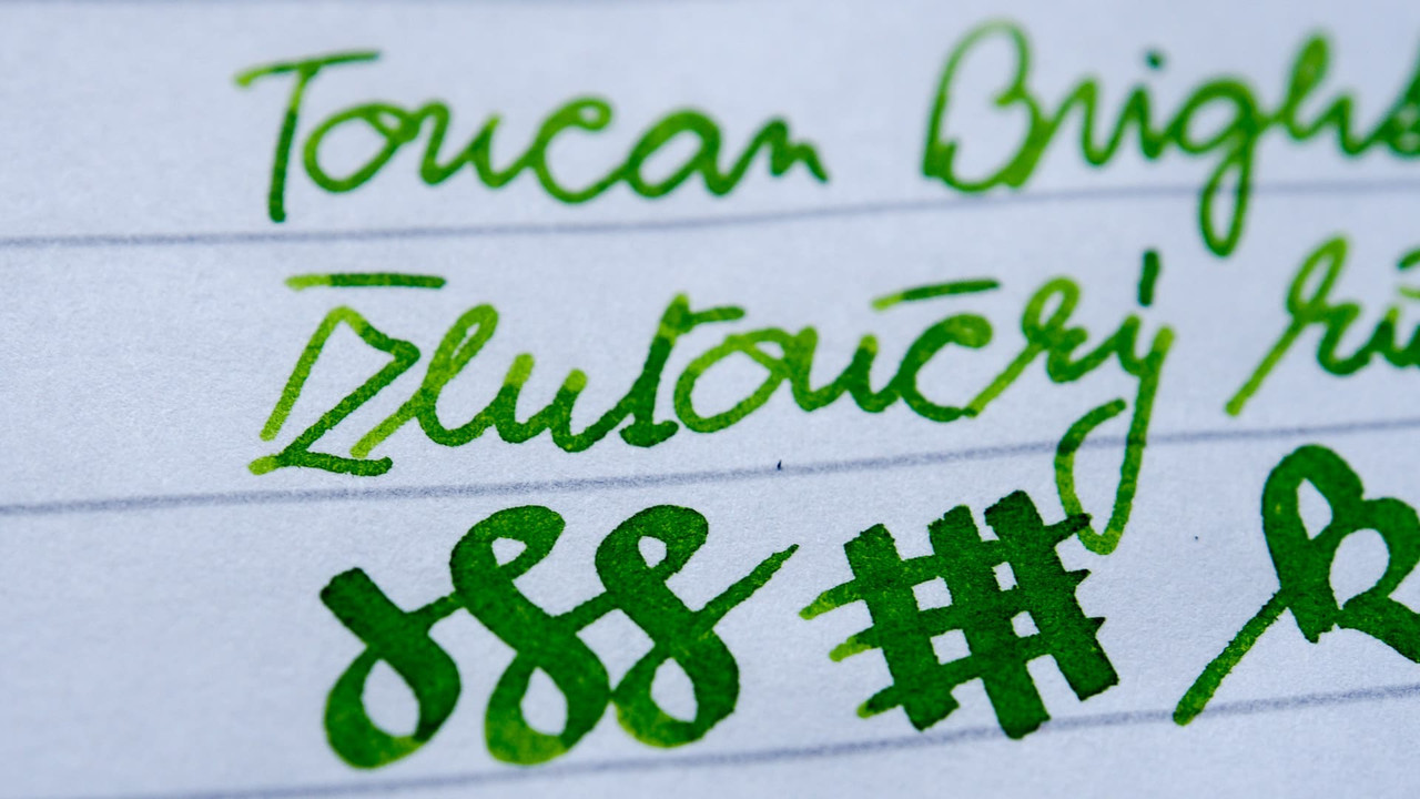 toucan-004