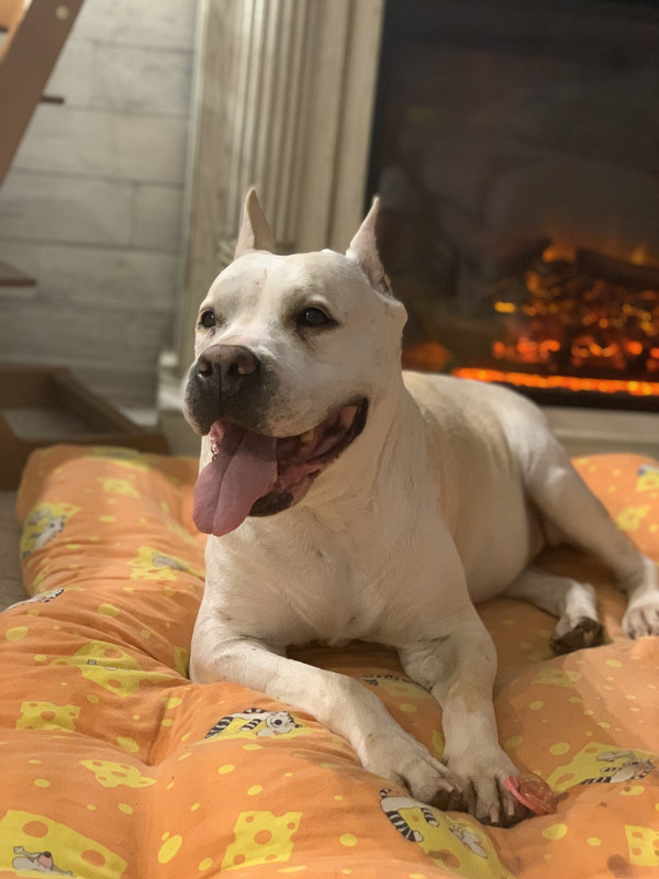 21574D01-918F-4EB9-AD5D-9469F4D7CC2D