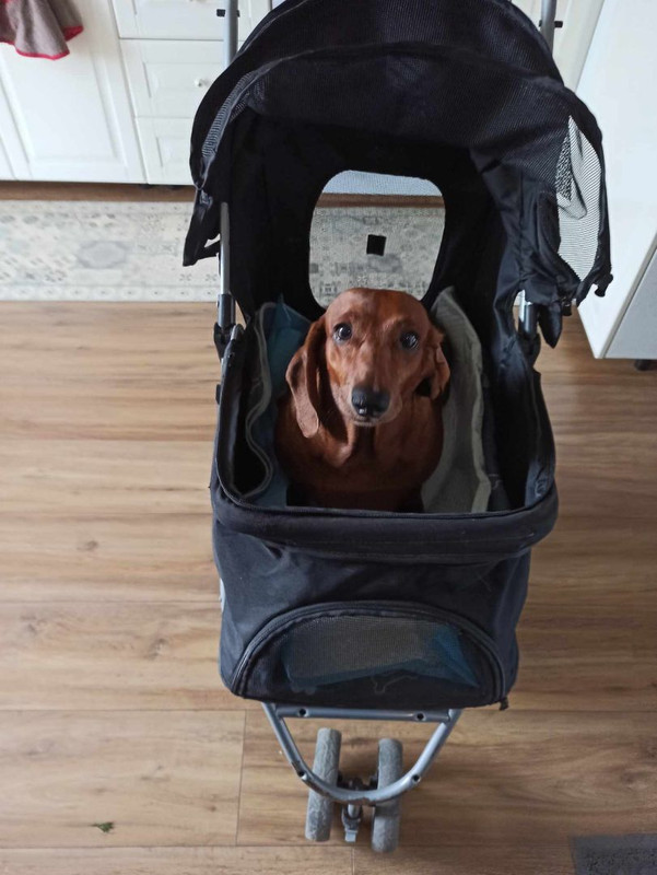 [Image: IMG-20240506-201757.jpg]