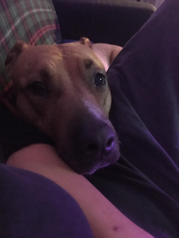 6459A10A-1993-42D8-9333-CFE1131394C2