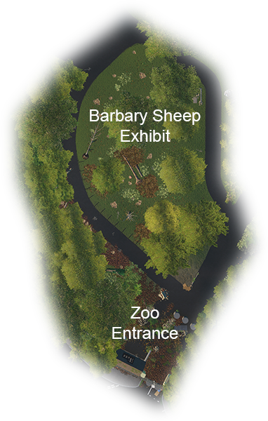 Barbaey-Sheep-Map.png