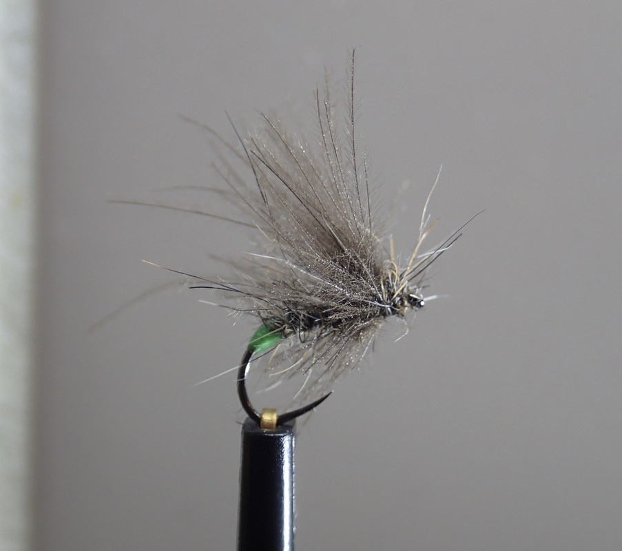 B1F3BEC6-5B73-427C-A7EE-B9082BBE2C08