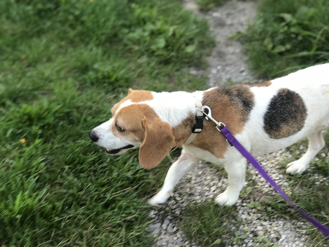 3F2FB889-9A28-43A2-AEB5-41BE8592F617