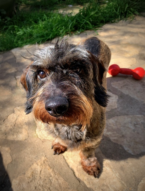 [Image: IMG-0623.jpg]