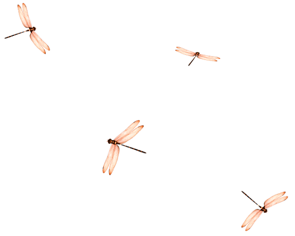 TADD_elements_ShimmerFall (72)