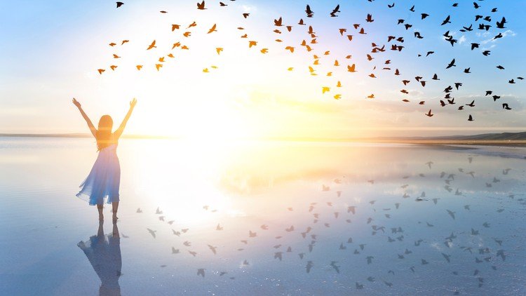 5 Steps to Start Your Emotional Healing Journey