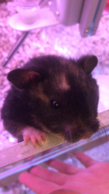 5B4096EC-A192-48D8-8B45-AF026B86E8C1