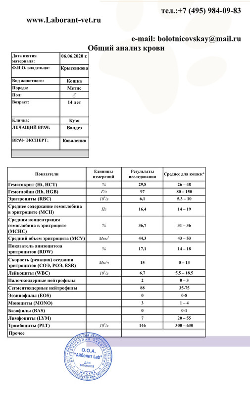 IMG 2448 — Postimages