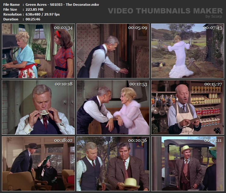 Green Acres - S01E03 - The Decorator.mkv
