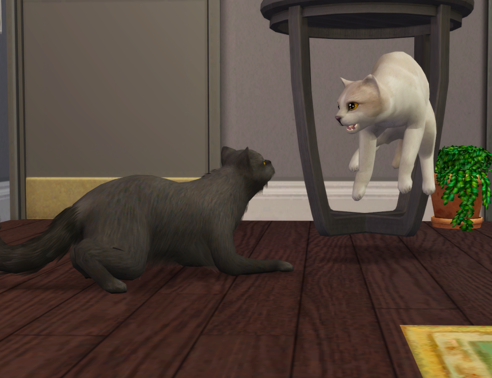 Sims2-EP9-RPC-2022-04-12-19-44-37-17